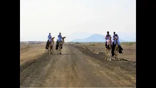 الفنان البجاوي سيدنا الامين اغنية تباسبار بيبوب 