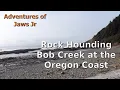 Rock Hounding Bob Creek at the Oregon Coast