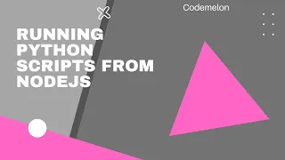 Running python script from Nodejs codemelon