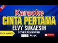 Download Lagu KARAOKE CINTA PERTAMA ELVY SUKAESIH