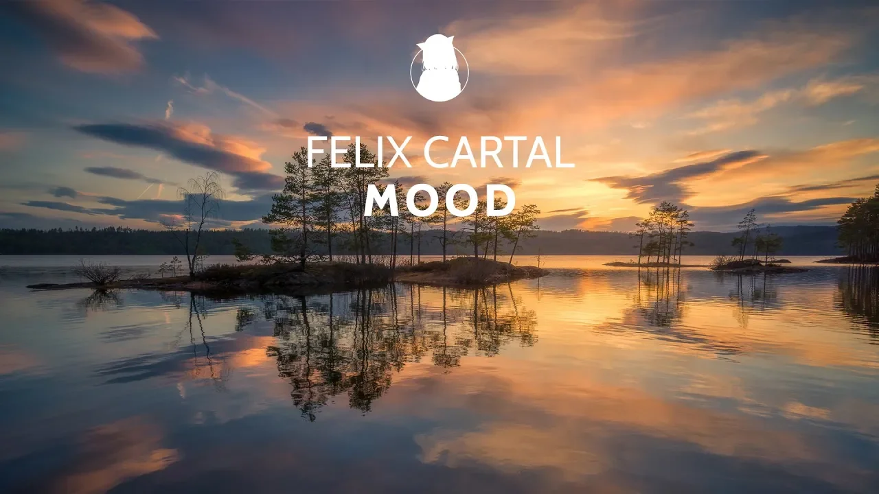 Felix Cartal - Mood