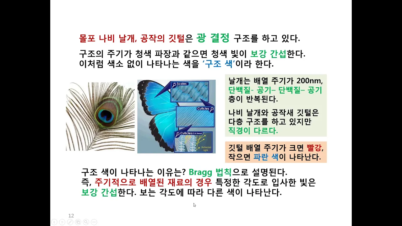 4 수능 과학지문, 광결정, 구조색, 모르포 나비, 보강간섭, 상쇄간섭