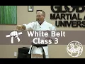 Shotokan Karate Beginner Follow Along Training Class - 9th Kyu White Belt