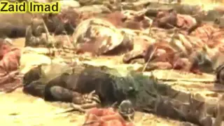 تمنيتك يالاكبر HD 