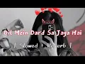 Download Lagu Dil Mein Dard Sa Jaga hai ( slowed + reverb ) | slowed reverb hindi song | lofi songs hindi #lofi