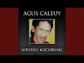 Download Lagu Weureu Kecubung