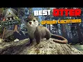 ARK Fjordur Otter Spawn Locations BEST Spots Main Map ASGARD