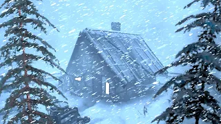 WINTER STORM 2025 Hits With DEADLY COLD Sounds To Help You Sleep 