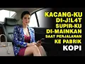 Lagu JANDA KAYA PENGUSAHA PABRIK KOPI INGIN DIMENGERTI SUPIR PRIBADINYA YANG TAMPAN DAN POLOS