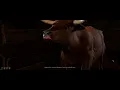 Baldur s Gate 3 Speaking with animals vol 6
