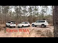 Day Trip to Citrus WMA