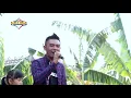 Download Lagu Gerry mahesa TEMAN new pallapa
