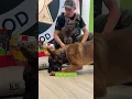 K9 Robbi
