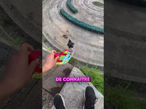 COINCÉE DANS UN LABYRINTHE, IL ESCALADE LES MURS POUR LA SAUVER ! 😱🍕