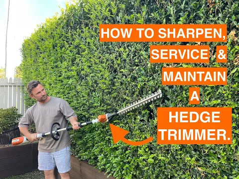 Download MP3 HOW TO SHARPEN, SERVICE & MAINTAIN A HEDGE TRIMMER. DIY