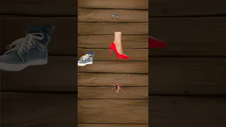 ويلي ويلي من الصراصير حب لايك تصميمي اكسبلور ويلي Yt Trend Trend Cockroach تيك توك  ويلي ويلي من الصراصير حب لايك تصميمي اكسبلور ويلي Yt Trend Trend Cockroach تيك توك