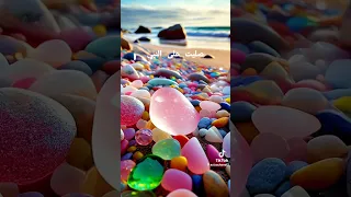 صليت على النبى كام مره قولى 