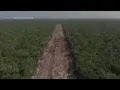 Mexican train project endangers environment