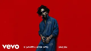 SAINt JHN - Love Me For The Summer (Audio Visualizer)