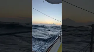 Sounds of the sea 🌊