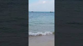 We Sailed Where?????