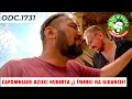 Lagu Zapomniane dzieci Huberta ;) Świnki na gigancie! Odc.1730