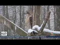 Weather migration in West Virginia