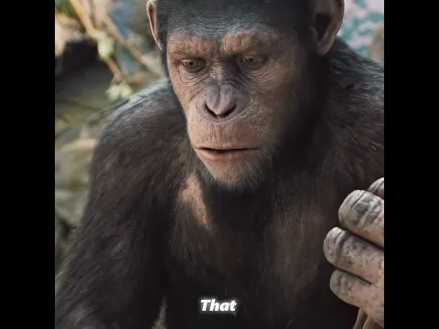 The Smart Ape#shorts