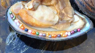 Some pearl oyster spirits that have lived for thousands of years.