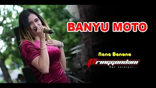 Download BANYU MOTO   VOC  NANA BANANA PRINGGONDANI LIVE TIMBRANGAN GUNEM REMBANG MP3