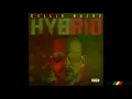 Collie Buddz - Love & Reggae