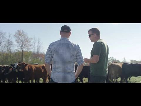 Before The Plate Official Trailer #1 (2018)