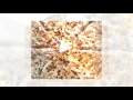 Domino s Pizza in Kankakee - Types of Cheese for Pizza