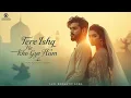 Lagu Tere Ishq Mein Kho Gaye Hum | A Sufi Love Qawwali Song That Will Touch Your Soul ❤️| V-Series 