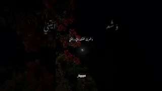 حين التقيتك عاد قلبي نابضا بدون موسيقى للشاعرة دارين شبير غناء صاحبة الصوت الملائكي وتر 