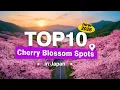 Download Lagu Top 10 Cherry Blossom Spots Japan Travel new 2026 Sakura season