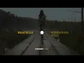 Download Lagu Beatsole - Wandering Soul (Official Music Video)