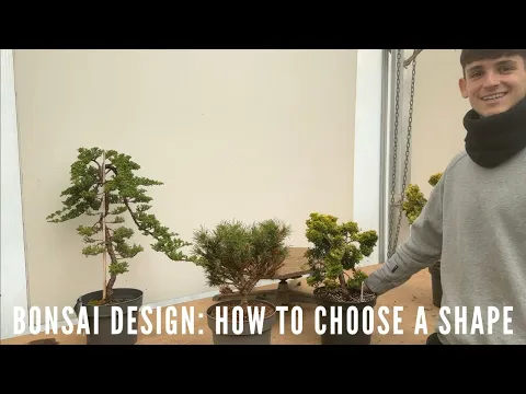 Download MP3 Bonsai Design: How to choose a Shape