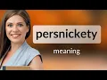Persnickety what is PERSNICKETY meaning