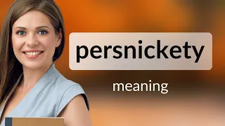 Persnickety what is PERSNICKETY meaning