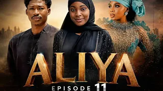 Aliya 6 11