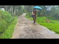 Download Lagu Seenak Ini Suasana Hujan Deras Di Kampung Saat Pagi Hari. Suasana Pedesaan Jawa Barat, Garut Selatan