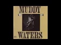 Muddy Waters mean-  Old Frisco  blues