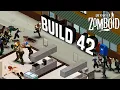 Starting A New Build 42 Zomboid Playthrough