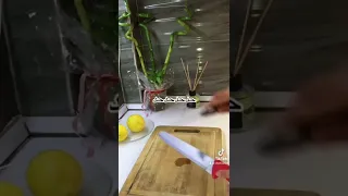 حد السكين بطريقة سهلة   السكين  لاتعمل دندنها