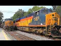 CSX Chessie Heritage Unit on Intermodal Train