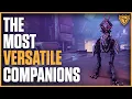 Warframes MOST Versatile Companions Utility Defence Damage - MOA 2024