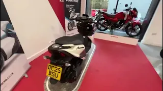                     دندنها