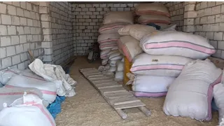 أرتفاع المحروقات يهدد الموسم الزراعي  حديث مطول يشرح مايجري سوق البكارة اليوم   دندنها