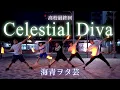 【高校最終回】Celestial Diva/茅原実里 【海青ヲタ芸】